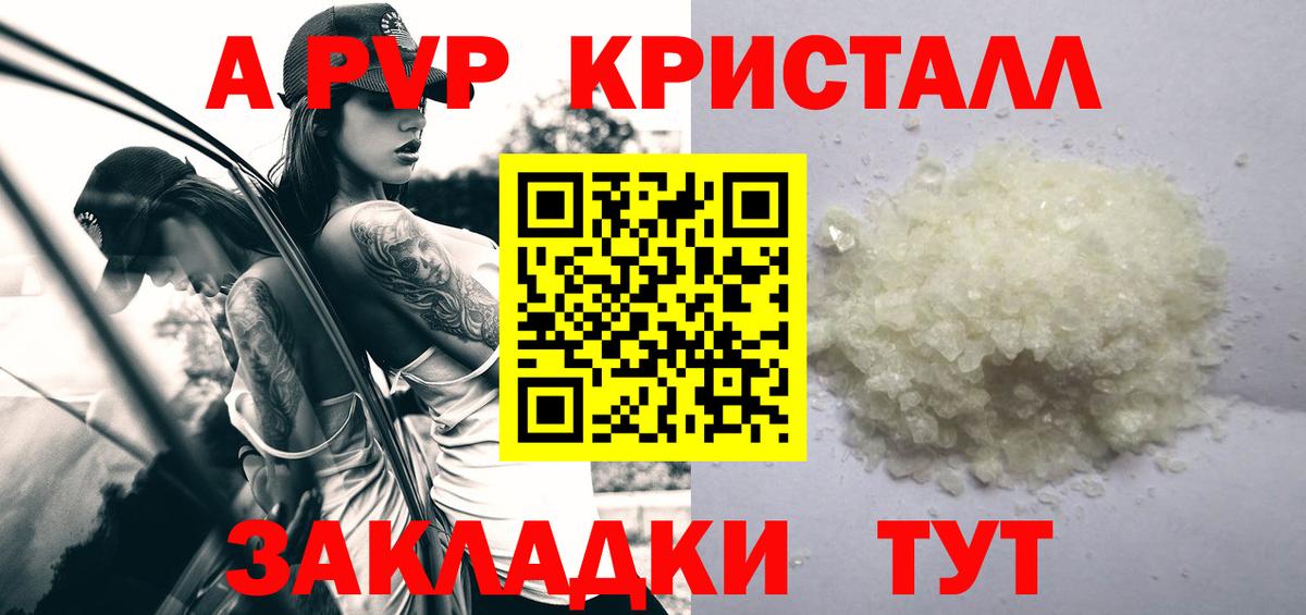 Alfa_PVP СК Камень-на-Оби