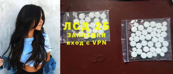 шишки Мегион