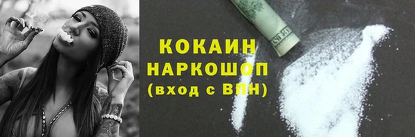 шишки Мегион