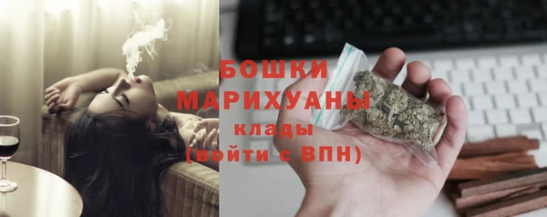 шишки Мегион