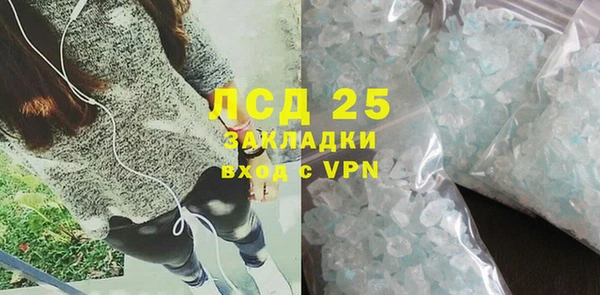 шишки Мегион