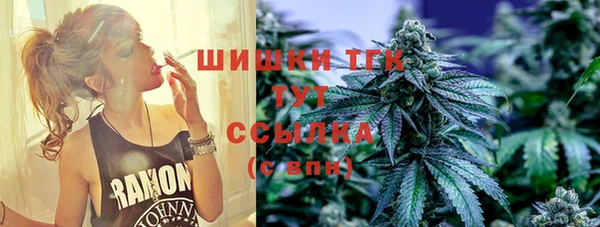 шишки Мегион