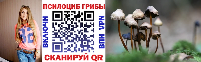 Галлюциногенные грибы прущие грибы  kraken как зайти  Камень-на-Оби 