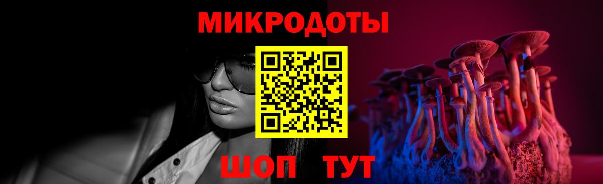 Псилоцибиновые грибы ЛСД  Камень-на-Оби 